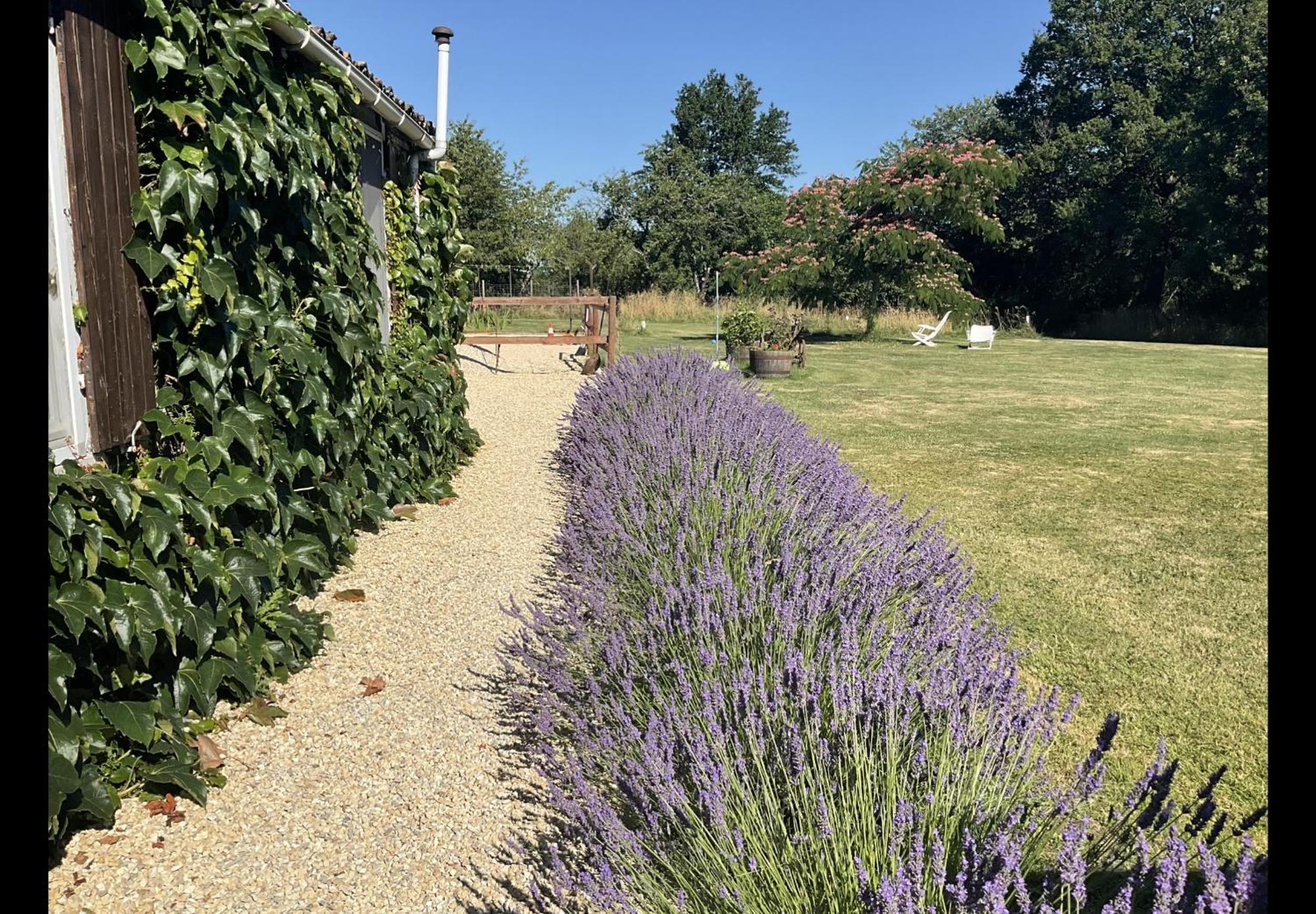 Le Jardin De Rose 24 Feuillebert Romagne 86700 Bed & Breakfast Exterior photo